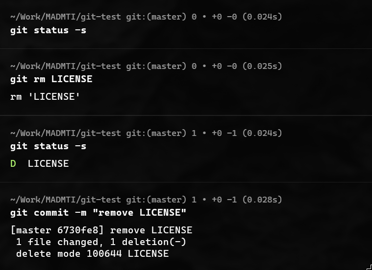 Output de git rm